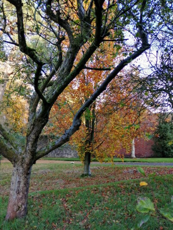 Hidden Huntley autumn colours