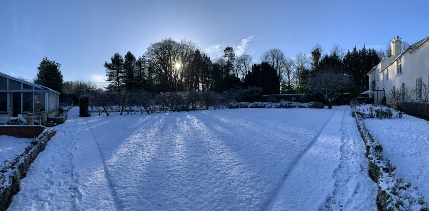 Snow garden Belfast