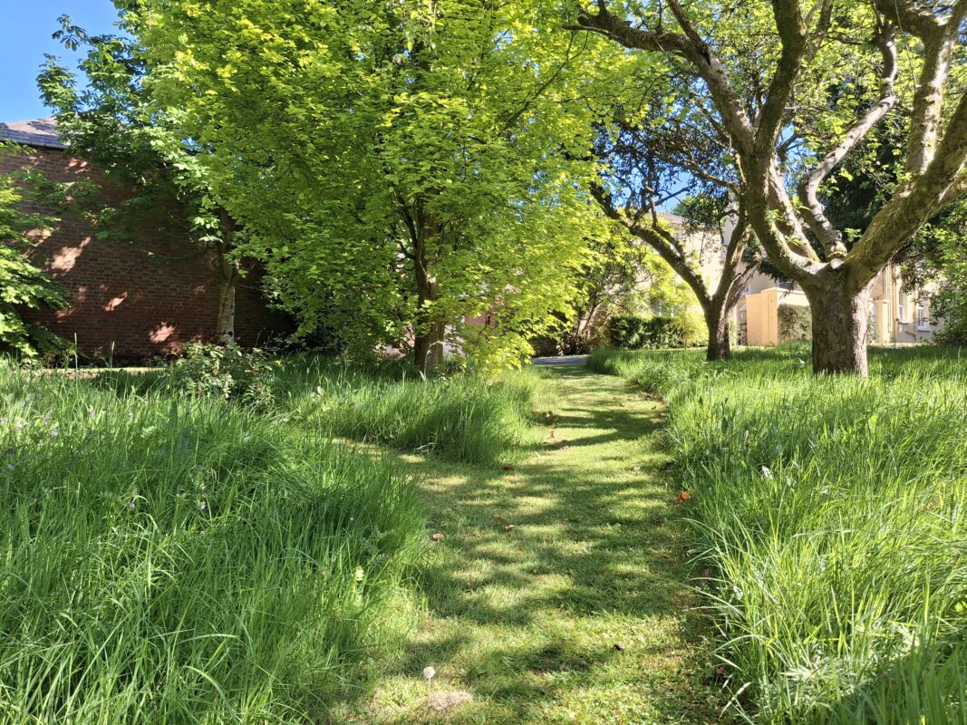 Hidden Huntley